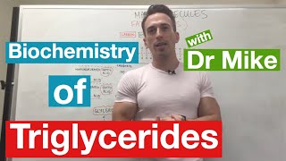 Fatty Acids Glycerol and Lipids  Biochemistry [upl. by Nyrrad]