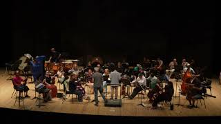 Conducting lesson  in front of an orchestra Beethoven  Symphony no 7 Allegretto Yotam Dor [upl. by Donnelly]