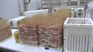 Automated Kebab Skewer Machine  EVYL SA [upl. by Suirradal]