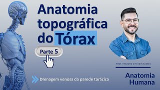 ANATOMIA TOPOGRÁFICA DO TÓRAX  PARTE 5  DRENAGEM VENOSA DA PAREDE TORÁCICA [upl. by Chainey]