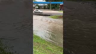 A crocodile has been caught in flood waters in a north Queensland town  ABC News [upl. by Shewchuk9]