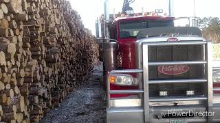 Long Day in a Logging Truck to Beat the Big Winter Rain [upl. by Michigan]