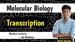 Transcription  Molecular Biology  Biochemistry lectures [upl. by Ecirrehs]