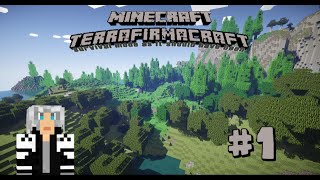 Minecraft TerraFirmaCraft Ep 01  Jai soif   Lets Play FR HD [upl. by Ennairek]