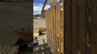 Building a chicken coop out of pallets [upl. by Viviane936]