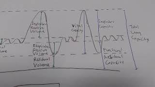 Respiratory Capacity Explained in Simple Spirogram [upl. by Madeline]