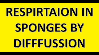 RESPIRATION IN PORIFERA HOW PORIFERA GET OXYGEN DIFFUSION OF DIFFERENT GASES [upl. by Hadik]