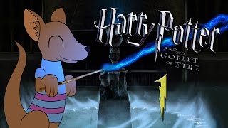 6 LET NA YOUTUBE  Český Lets Play Harry Potter a ohnivý pohár  part 1 [upl. by Ogdon]