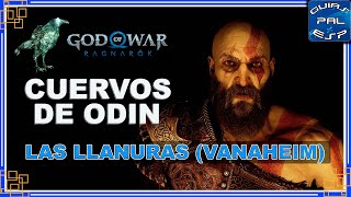 Cuervo de Odín  Las Llanuras Vanaheim  GoW Ragnarök  Guía de coleccionables [upl. by Aneladdam]