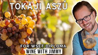 Tokaji Aszú Explained for WSET Level 4 Diploma [upl. by Ahsinav241]