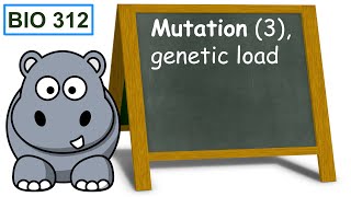 Mutation 3 genetic load [upl. by Atinna]