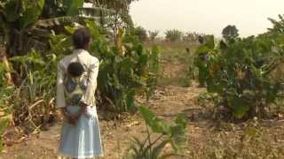 Agricultura quotAngola 10 anos depoisquot [upl. by Adnyleb]