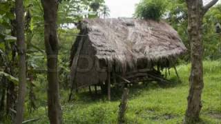 Tuvalu Gospel song Faleumu [upl. by Pendergast]