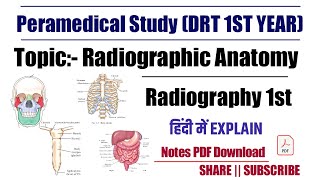 Radiography Anatomy Chest Abdomen Skull Urinary System drt 1st year [upl. by Ssirk]