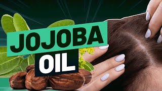 Does Jojoba Oil Improve Hair Growth What The Science Says… [upl. by Harl]