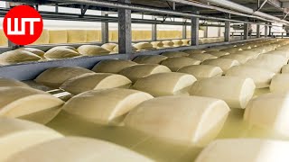 Modern Cheese Making Process That Youve Never Seen Before  Food Factory [upl. by Swithbart]