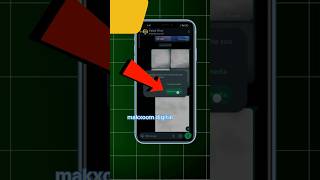 Important WhatsApp hacks whatsapp whatsapphack tech techreels tipsandtricks makxoomdigital [upl. by Danita872]