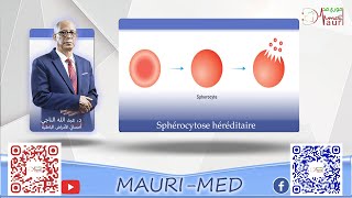 Hématologie  Sphérocytose héréditaire [upl. by Carrington572]