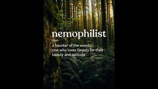 NemoPhilist Captures Being In The Forest [upl. by Nikita]