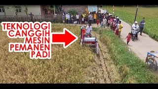 Teknologi Canggih Mesin Panen Padi  Mini Combine Harvester FIRMAN [upl. by Kemme]