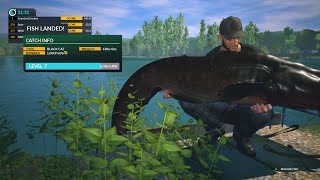 Dovetail Games Euro Fishing xbox one big catfish [upl. by Yllatan]