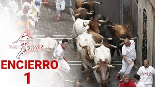 PRIMER ENCIERRO de San Fermín 2023  Toros de La Palmosilla [upl. by Fraase79]