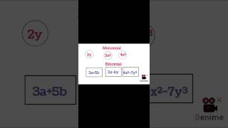 Monomial vs binomial maths [upl. by Joktan]