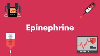 Epinephrine  Vasopressors amp Inotropes  MEDZCOOL [upl. by Yemarej107]