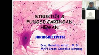 Biologi Kelas 11 Struktur Hewan Jaringan Epitel [upl. by Sinegold]