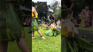 Hula Dancers Ready to Perform hula [upl. by Winshell954]