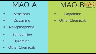 MAO Inhibitors MAOI  Overview and How They Work [upl. by Mendes]