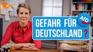 Wie gefährlich ist die AfD  Inside PolitiX [upl. by Wiburg373]