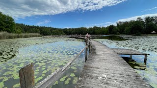 Półkolonie Turystyczne 2024 Dzień 3 i Arboretum w Sycowie [upl. by Mihcaoj428]