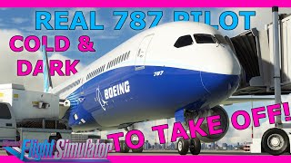 787 Beginner Tutorial with a Real 787 Pilot [upl. by Agle]