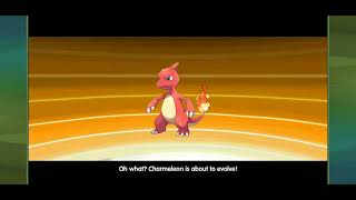 charmeleon evolves into charizard in megamon league [upl. by Zolner]