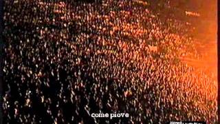 Zucchero  Pane e sale Live 1995 [upl. by Otreblig308]