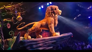 Walt Disneys Animal Kingdom  Festival of the Lion King [upl. by Ninnahc]