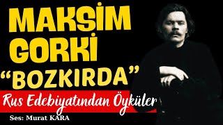 Maksim Gorki quotBozkırdaquot Rus Edebiyatından Sesli Kitaplar [upl. by Htrap]