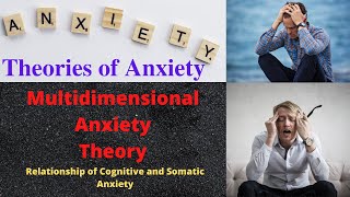 Multidimensional Anxiety Theory  Multidimensional Theory of Anxiety  In Hindi [upl. by Preston]