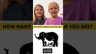 Smart Kid Education Fun and Engaging Learning Videos for Children [upl. by Nomad]