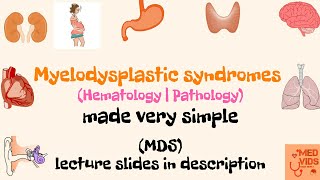 Myelodysplastic syndromes  MDS  Pathology  Med Vids made simple [upl. by Atived]