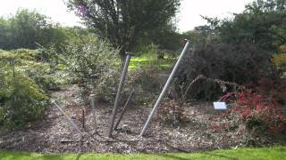 Botanic Gardens Sculpture in Context Exhibition 2012 By Sarah Reilly [upl. by Burch286]