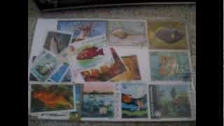 Intro to Stamp Collecting and How to Soak Used Stamps off of envelopes [upl. by Savanna]