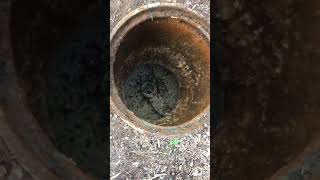 Grease Trap Service Suffolk County Long Island  Murphys Cesspool amp Septic Service [upl. by Delly]