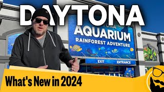 Whats New in Daytona Beach in 2024 [upl. by Flossy]