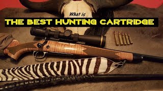 What is the best hunting cartridge [upl. by Otanod]