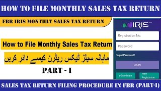 How to File Monthly Sales Tax Return in Pakistan 2024 PartI I Sales Tax Return Filing Process [upl. by Keverian]