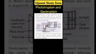 Phototropism and Geotropism ujjawalstudyzone motivation cbse [upl. by Mossman]