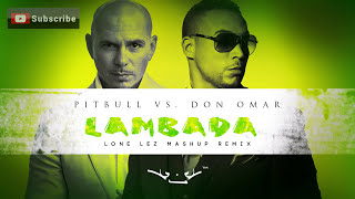 Lambada  Pitbull vs Don Omar Lonelez Remix [upl. by Nelson]