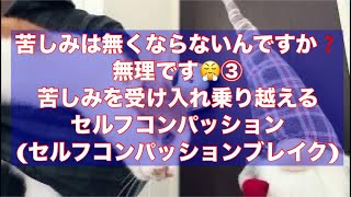 苦しみは無くならないんですか❓無理です😤③苦しみを受け入れ乗り越えるセルフコンパッションセルフコンパッションブレイク [upl. by Leachim716]